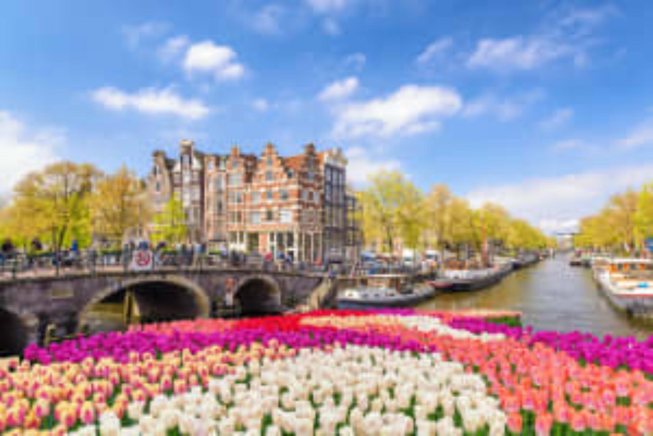 Canal in Amsterdam